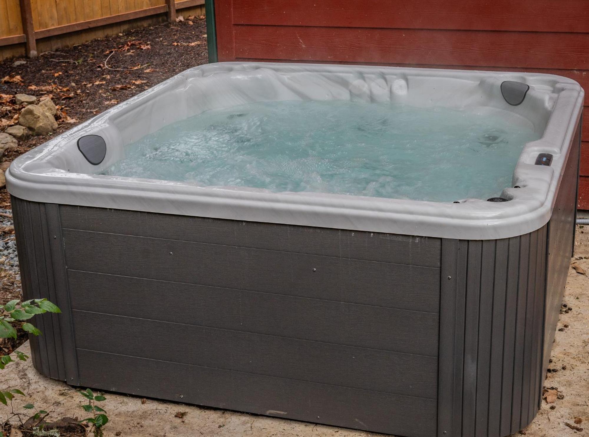 Mt. Rainier Cabin W/Hot Tub Ашфорд Екстер'єр фото